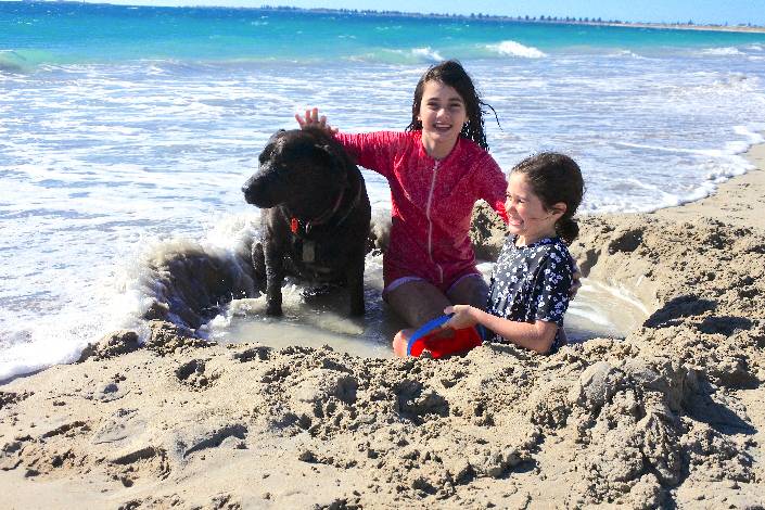 Young children sitting on the sand at the beach with one patting a block dog near the water